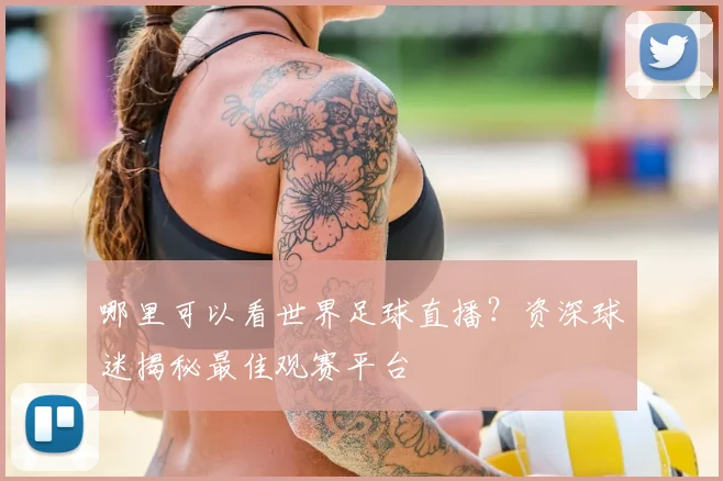 哪里可以看世界足球直播?资深球迷揭秘最佳观赛平台
